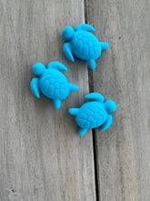 Load image into Gallery viewer, Turtle Slide-able