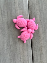 Load image into Gallery viewer, Turtle Slide-able