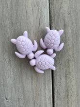 Load image into Gallery viewer, Turtle Slide-able