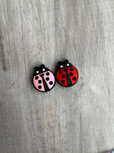 Load image into Gallery viewer, Ladybug  Slide-able
